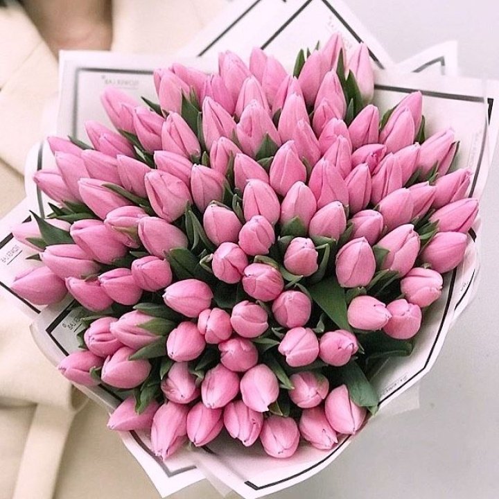 101 розовый тюльпан в белом в Рязани