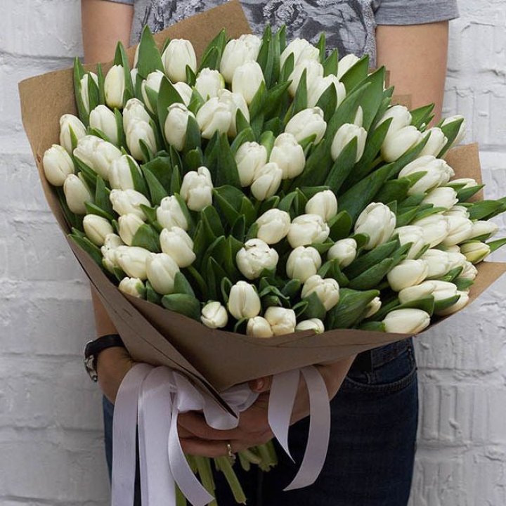 101 тюльпан сноу в Рязани