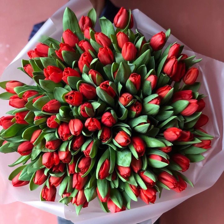 101 красный тюльпан в Рязани